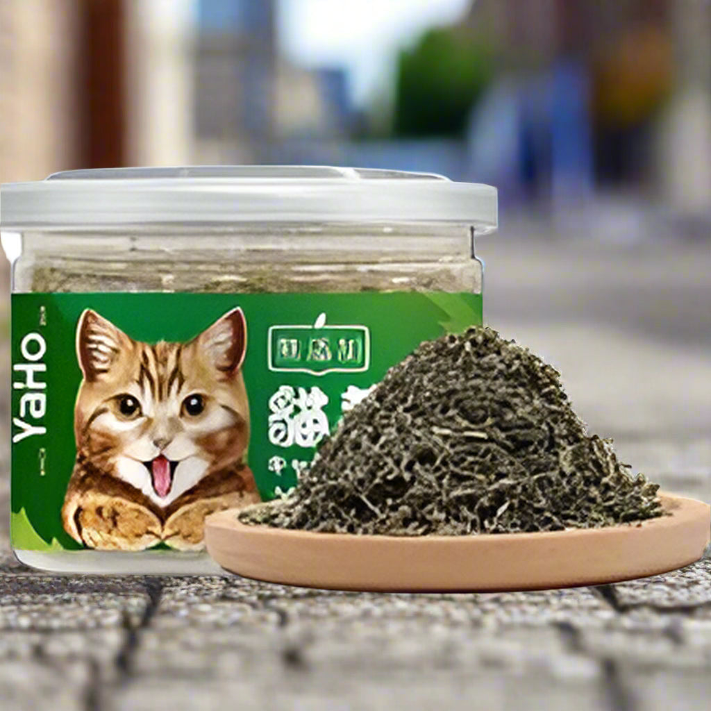 YAHO Catnip Cat Mint 100% Natural – 20g Herbal Supplement for Cats | Promotes Digestion, Sleep & Appetite | Anti-Stress & Training Aid